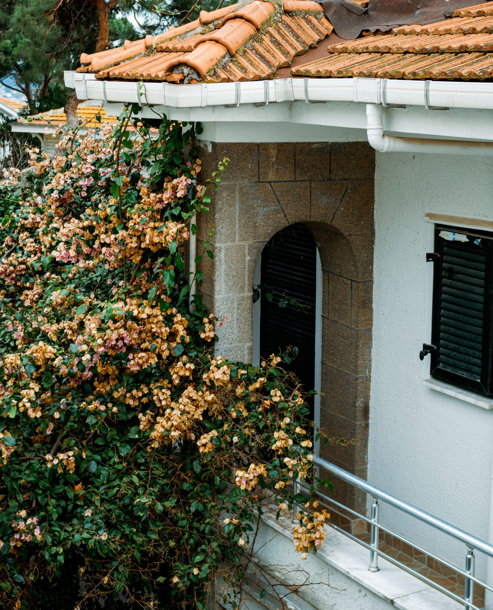 Gutter installation, repair and replacement in Texas