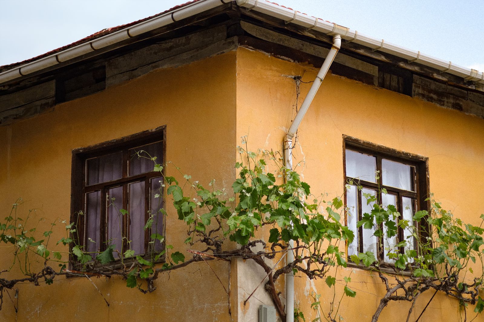 A gutter running along the eave of a house against an open sky